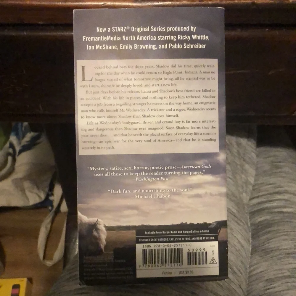 American Gods by Neil Gaiman - Picture 2 of 4